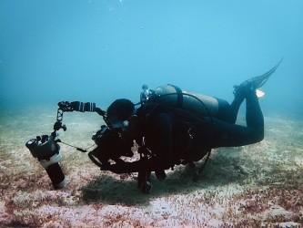 Thế giới dưới đáy vịnh Nha Trang