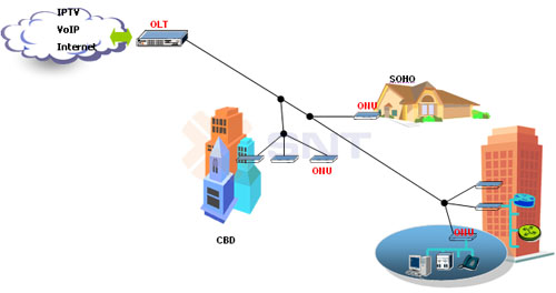 SoDoBCOM-P3305.jpg