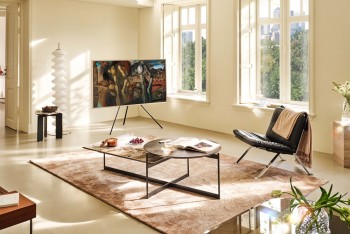 Samsung TVs and Displays Samsung Art Store Tate Collection The Frame Pro